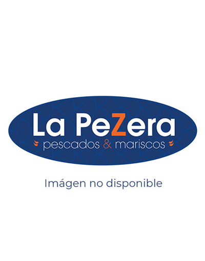 Esperando imagen de producto