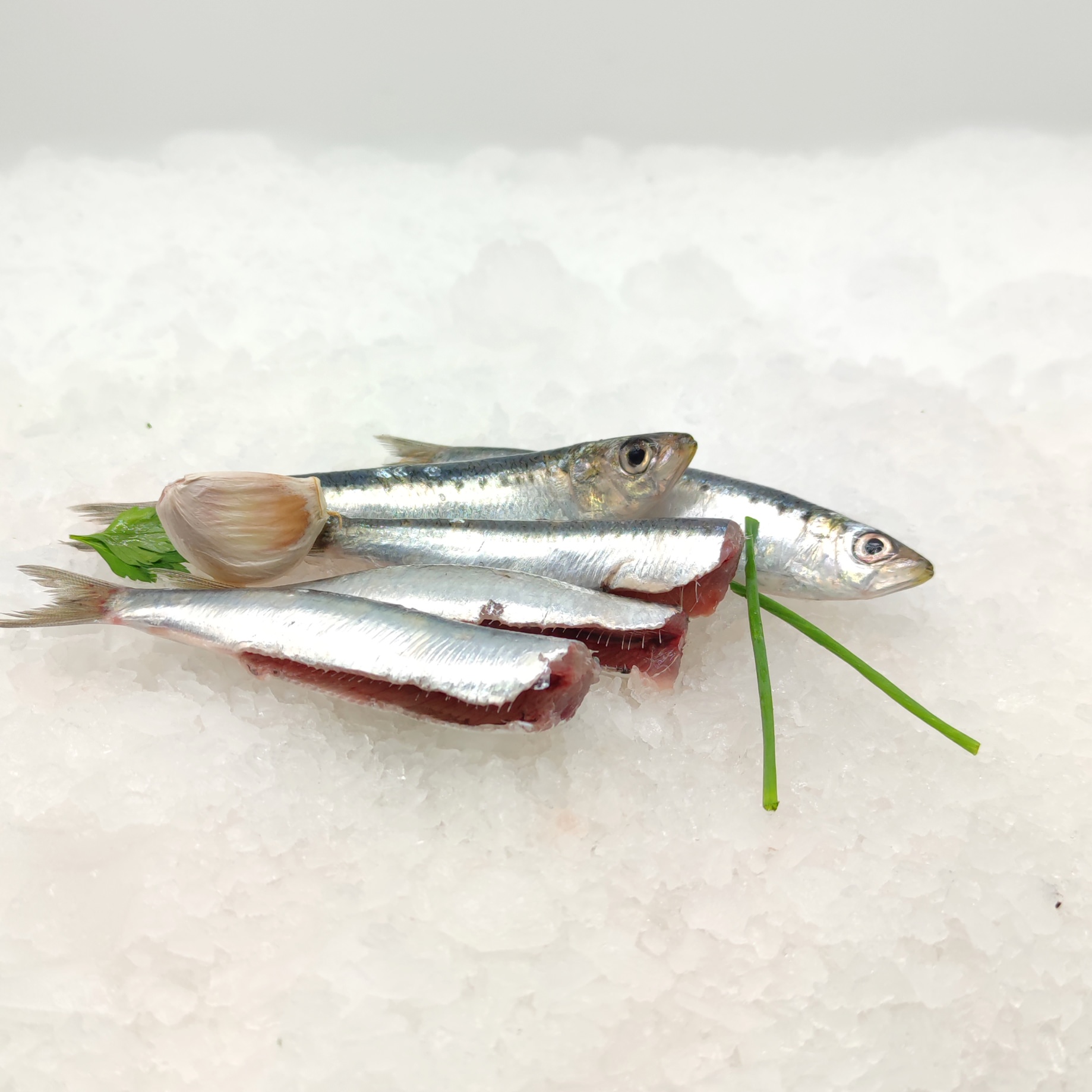 Sardinas enteras comprar sardina eviscerada