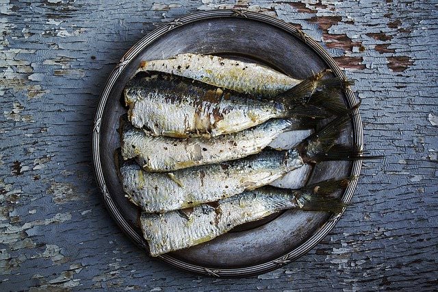 pescado azul y omega 3