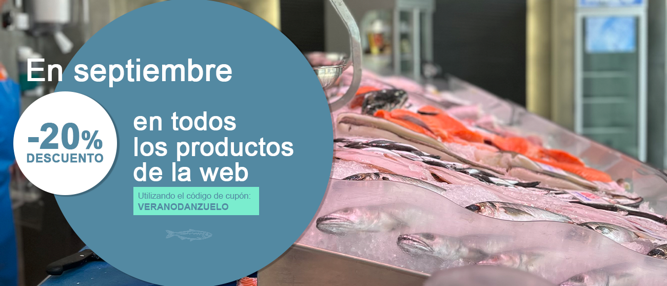 Inicio banner portada descuentoseptiembre